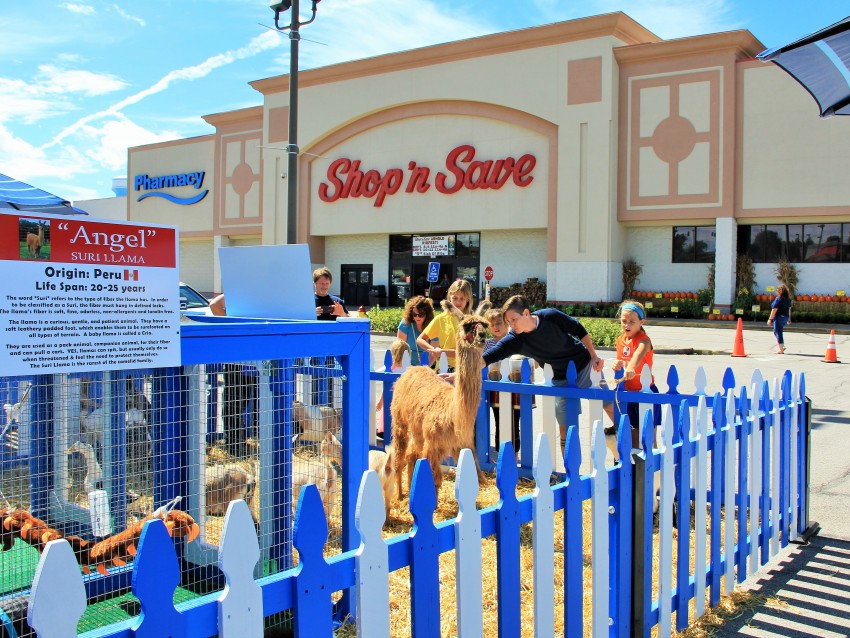 Hire Animals *R* Us Mobile Petting Zoo Petting Zoo in Hillsboro