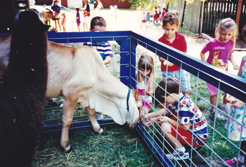 Hire Animals *R* Us Mobile Petting Zoo Petting Zoo in Hillsboro