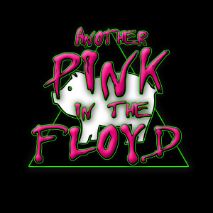 Another Pink in the Floyd - Pink Floyd Tribute Band / 1970s Era Entertainment in Oklahoma City, Oklahoma