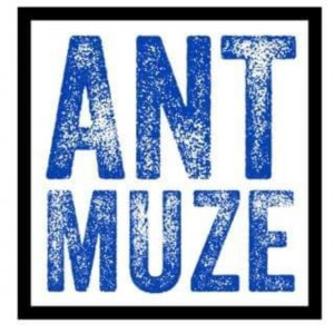 Ant Muze - Keyboard Player in Dallas, Texas
