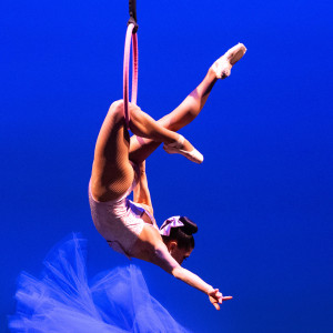 Anver Entertainment - Aerialist in New York City, New York