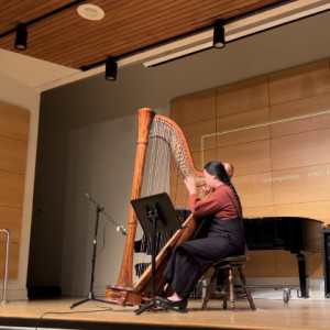 Harpistry - Harpist in Williamsburg, Virginia