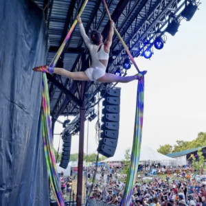 Aranea - Aerialist in Blacksburg, Virginia