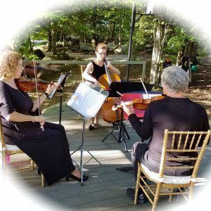 Arce Nova Strings Trio - Chamber Orchestra / Classical Ensemble in Westfield, Massachusetts