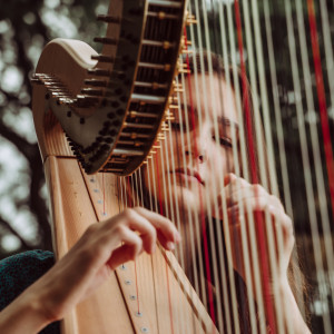 Ariadna Demkov, Harpist - Harpist in Miami, Florida