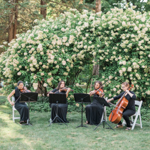 Ariana Strings: Classical Wedding Music Ensembles - String Quartet / Wedding Musicians in Southington, Connecticut