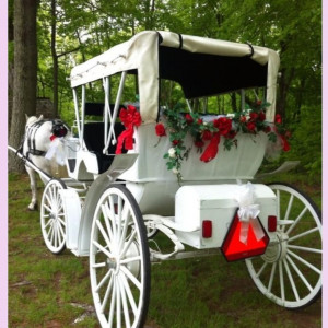 Aristocratic Wedding Carriages