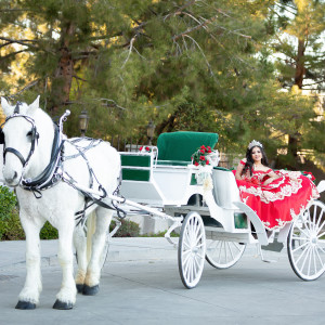 Arizona Classic Carriages - Horse Drawn Carriage in Worden, Montana