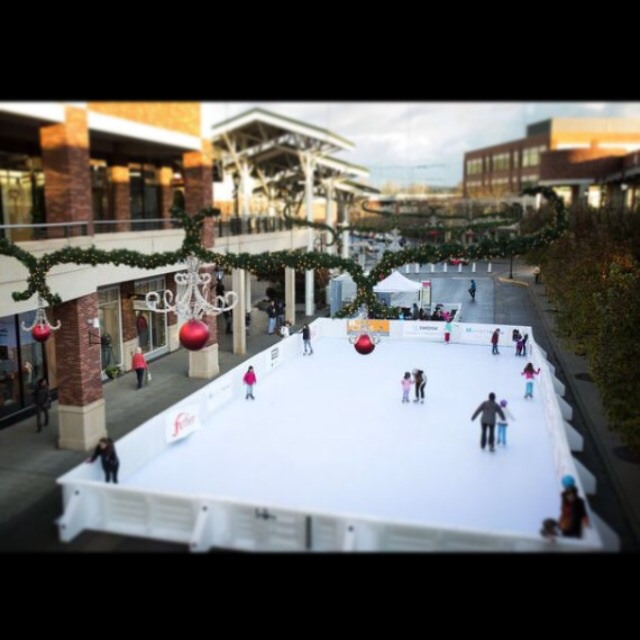 Gallery photo 1 of Artificial Ice Skating