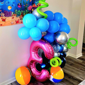 Ashlee - Balloon Decor in McHenry, Illinois