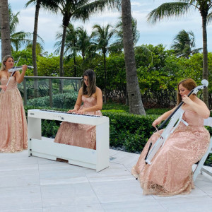 Assai Event Musicians - Violinist / Wedding Entertainment in Fort Lauderdale, Florida