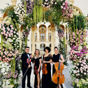 Assai Event Musicians - String Quartet / Samba Dancer in Miami, Florida