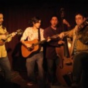 Astrograss - Bluegrass Band / Acoustic Band in Beacon, New York