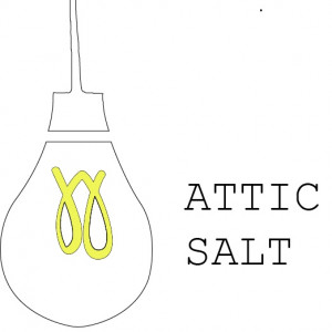 Attic Salt Entertainment - Videographer in Brooksville, Florida
