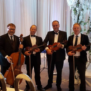 Aurora Quartet - String Quartet / Wedding Entertainment in Toronto, Ontario