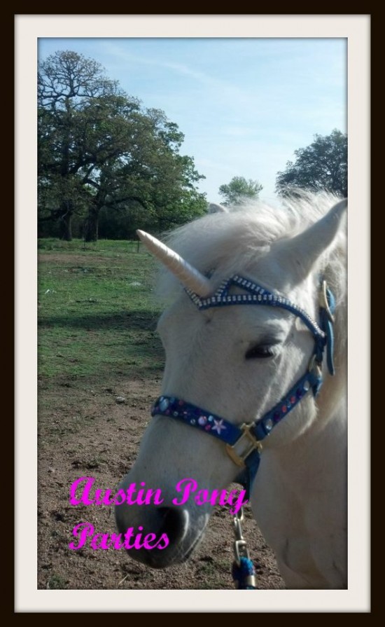 Hire Austin Pony Parties Pony Party in Austin, Texas