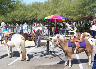 Hire Austin Pony Parties Pony Party in Austin Texas