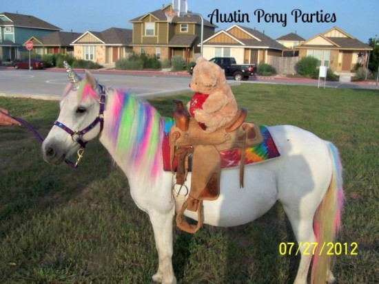Gallery photo 1 of Austin Pony Parties