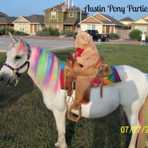 Austin Pony Parties