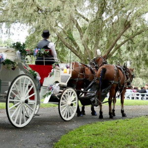 Avalon West Carriage Service - Horse Drawn Carriage / Holiday Party Entertainment in Brooksville, Florida