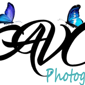 AVC Photography - Photographer in Las Vegas, Nevada