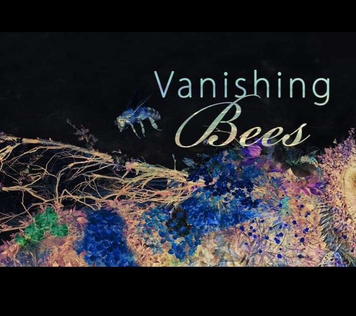 Gallery photo 1 of Vanishing Bees