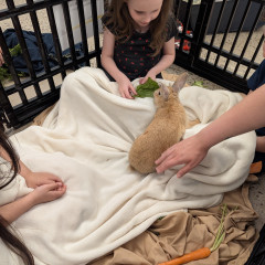 Photo 2 from May 10, 2025 event with The Bunny Experience