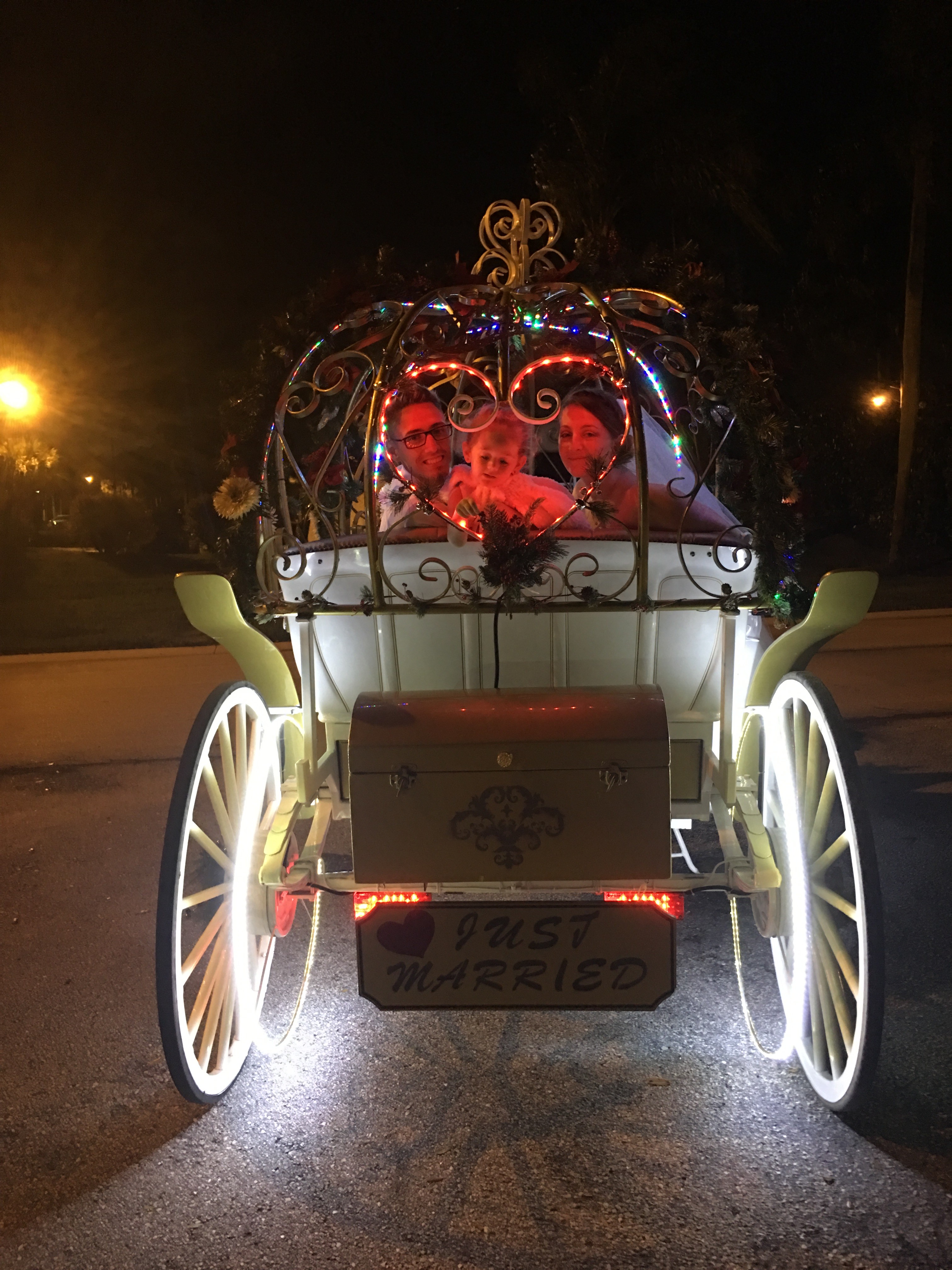 Hire Valley View Horse & Carriage Horse Drawn Carriage in Sevierville