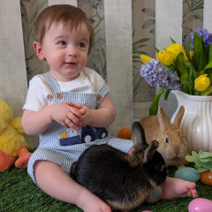 Photo 3 from Apr 6, 2025 event with The Bunny Experience