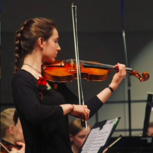 Background/Wedding Music - Violinist / Strolling Violinist in Duluth, Minnesota