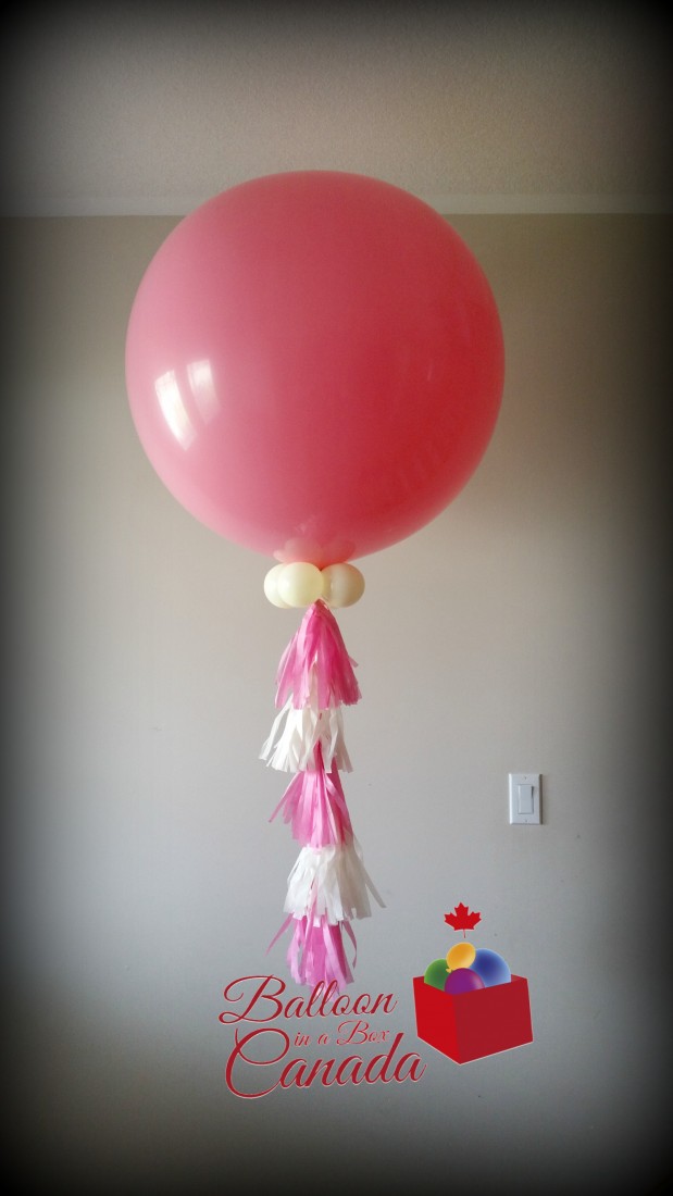 Hire Balloon in a Box Canada Balloon Decor in Ingersoll, Ontario