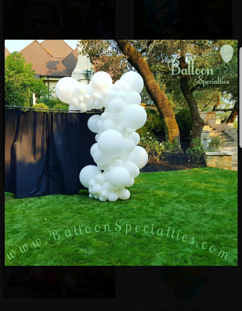 Gallery photo 1 of Balloon Specialties