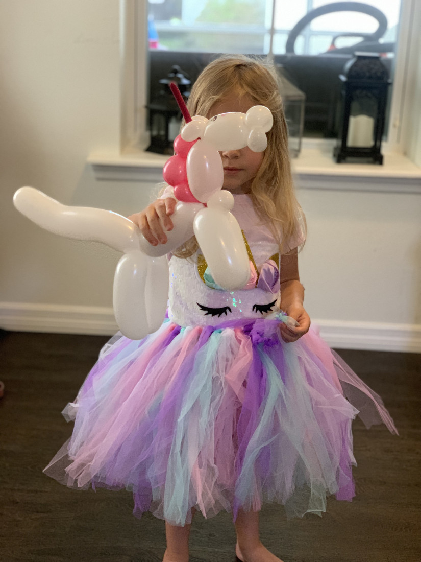 Hire Balloons by Eva Balloon Twister in Orlando, Florida