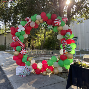 BalloonsByLexi - Balloon Decor / Party Decor in Fort Myers, Florida