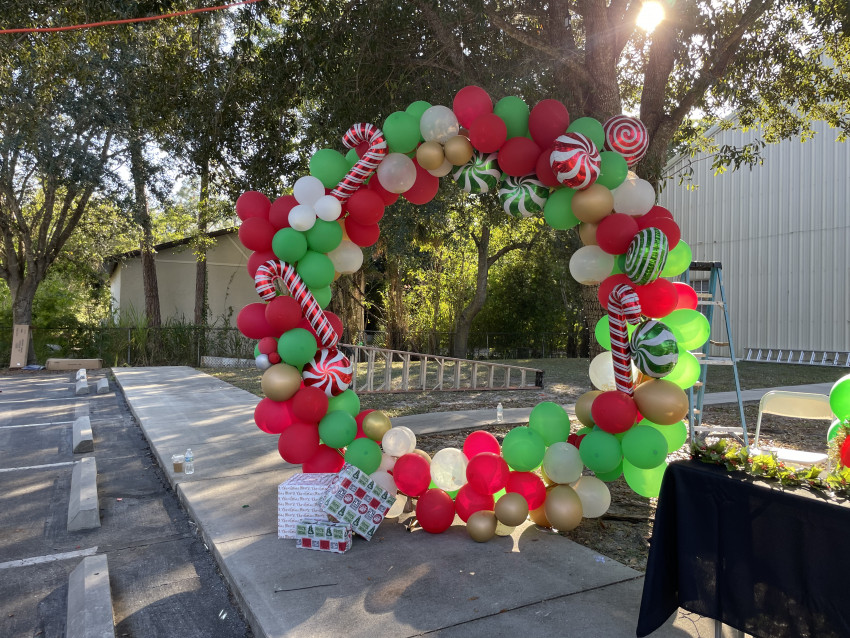 Hire BalloonsByLexi Balloon Decor in Fort Myers, Florida