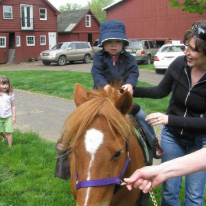 Barclay Farm Pony Party People - Pony Party in Langhorne, Pennsylvania