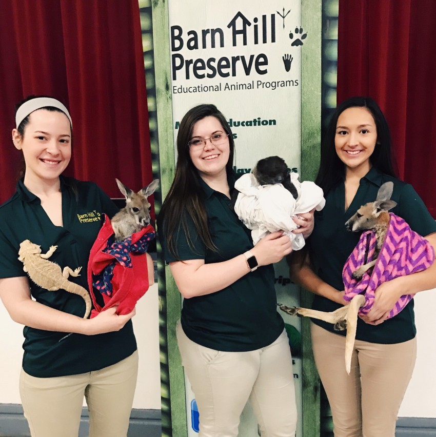 Hire Barn Hill Preserve Educational Entertainment in Ethel, Louisiana