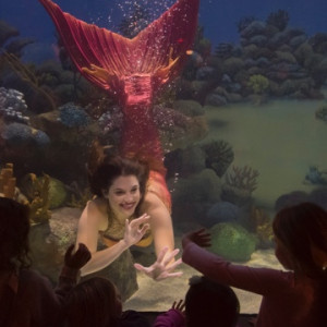 Barnegat Bay Mermaid - Mermaid Entertainment in Toms River, New Jersey