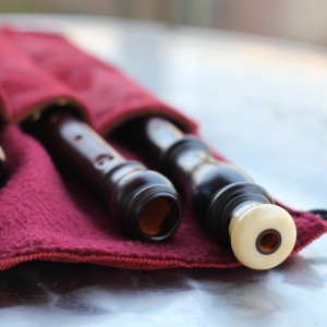 Baroque Oboe - Woodwind Musician in Montreal, Quebec