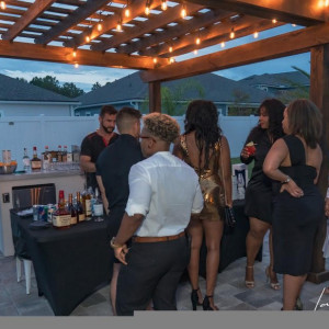 Bartending and Event Service - Bartender / Holiday Party Entertainment in Ponte Vedra Beach, Florida