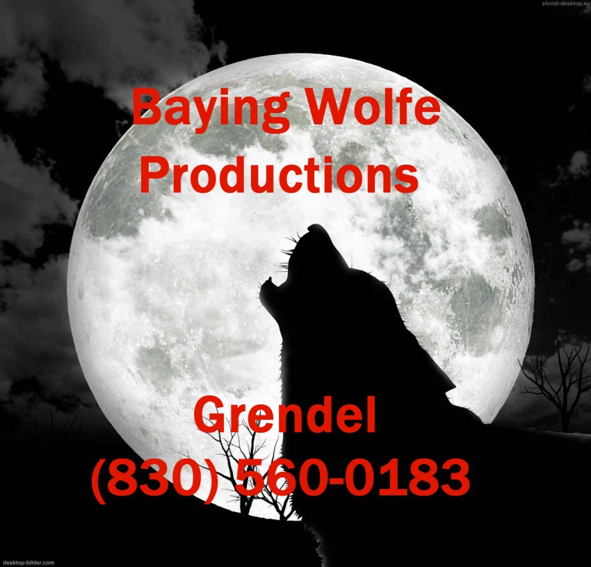 Gallery photo 1 of Baying Wolfe Productions