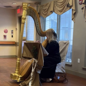 Beautiful Harp Music - Harpist / Wedding Musicians in Reading, Pennsylvania