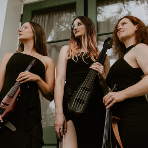 Bespoke Strings, LLC - String Trio / String Quartet in Charleston, South Carolina