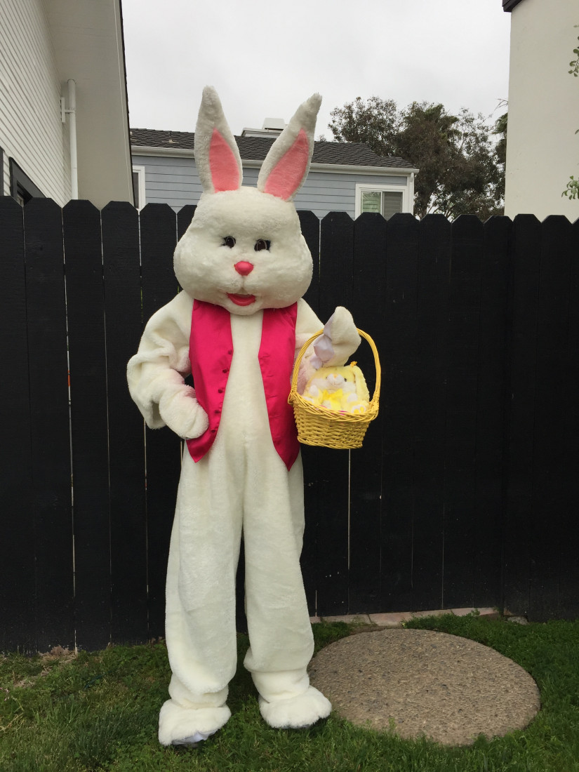 Hire Best Entertainment In Town Petting Zoo in Los Angeles, California