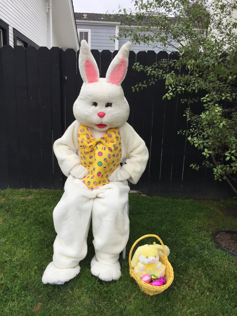 Hire Best Entertainment In Town Petting Zoo in Los Angeles, California