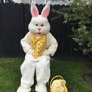 Best Entertainment In Town - Easter Bunny in Los Angeles, California