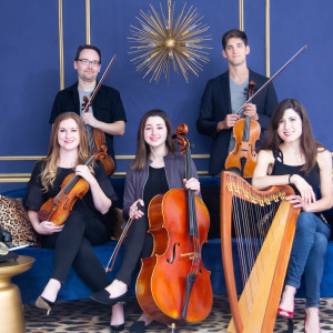 Best in Brass: Florida Orchestra Collective - Classical Ensemble / Harpist in Orlando, Florida