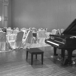 Best Wedding Pianist - Pianist in Elgin, Illinois