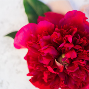 Beth Richard Floral Design - Event Florist / Wedding Florist in Scottsdale, Arizona
