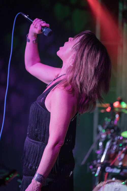 Hire The Cliffhangers BandPDX Rock Band in Portland, Oregon